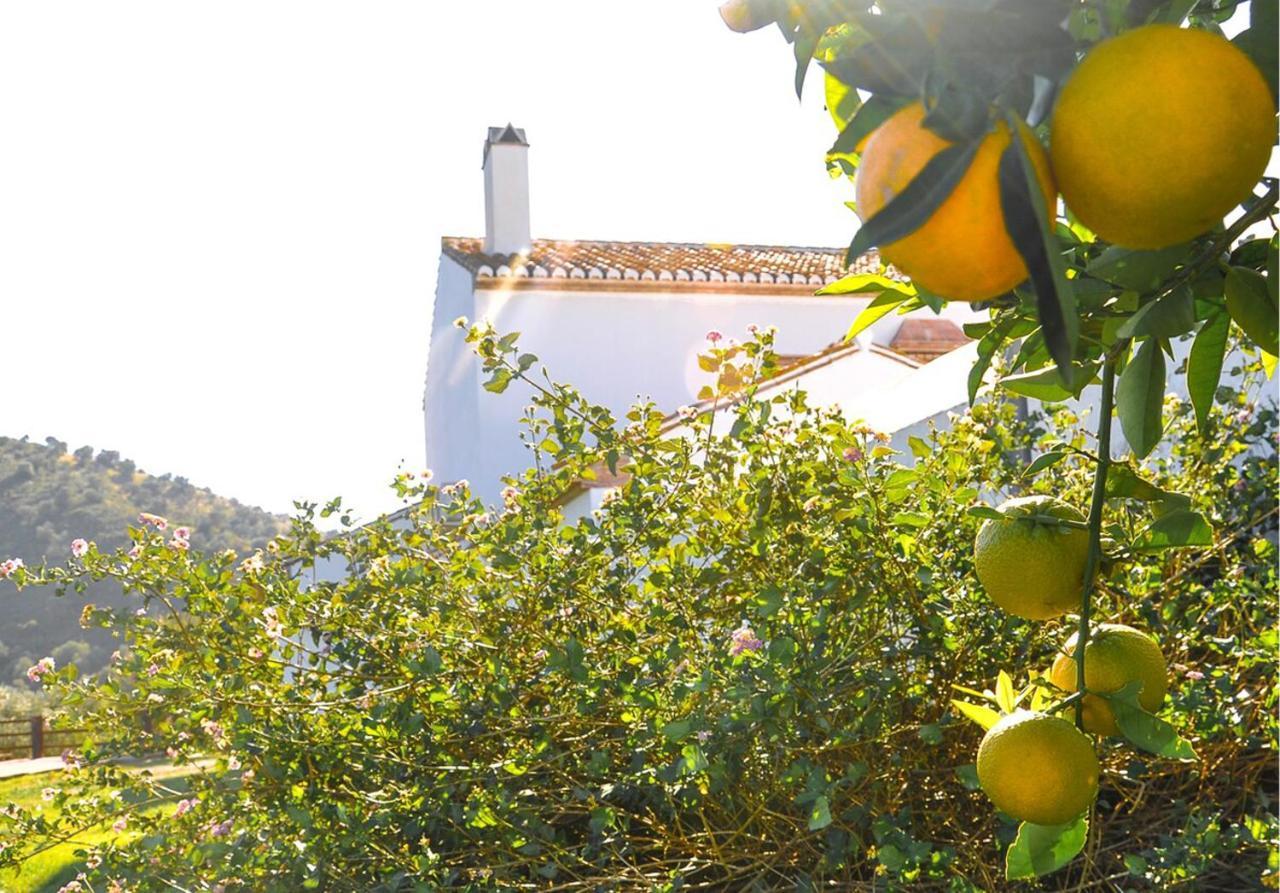 Cortijo Las Caballerias Алора Екстериор снимка