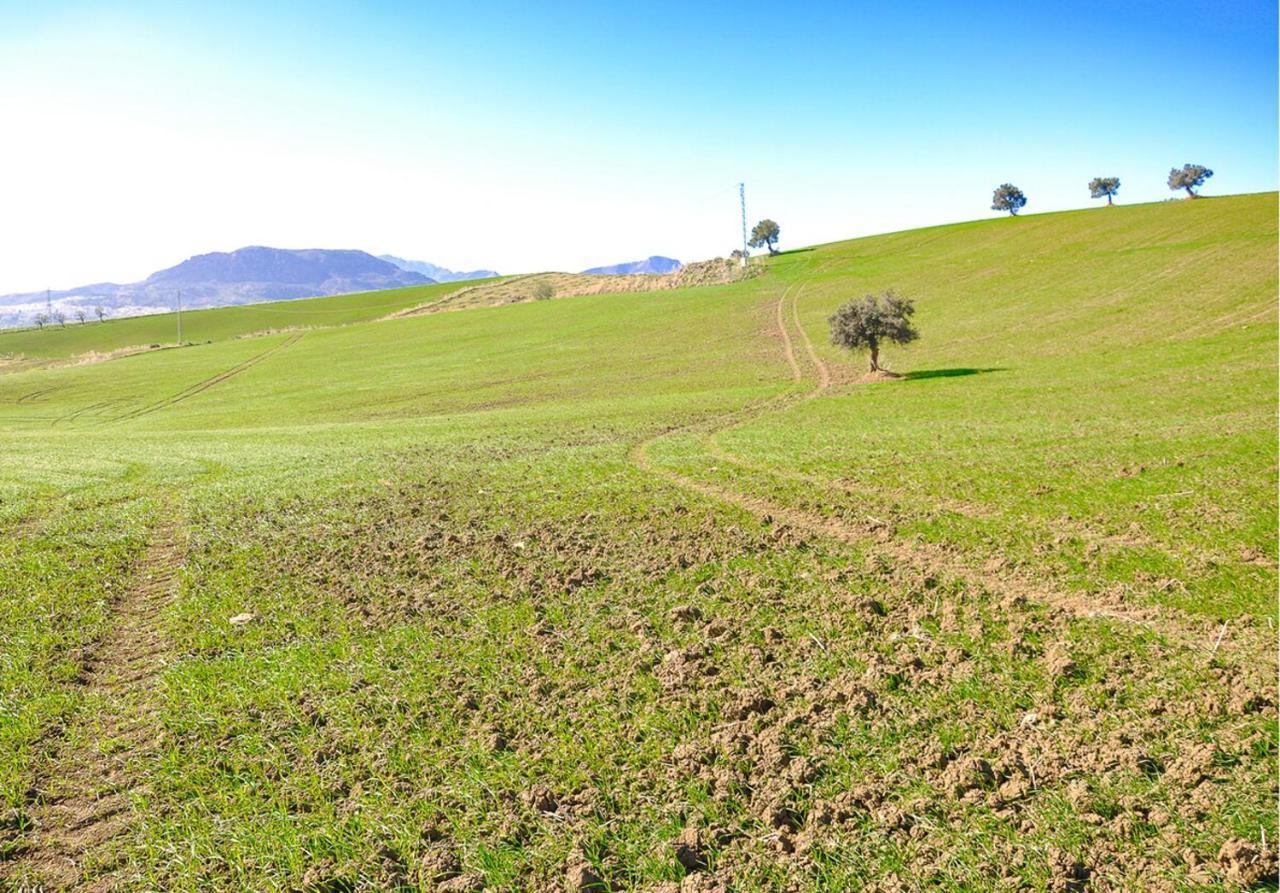 Cortijo Las Caballerias Алора Екстериор снимка